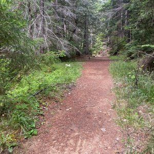 Meet your Posher, Christy